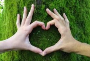 Hands in the shape of a heart on a mossy log