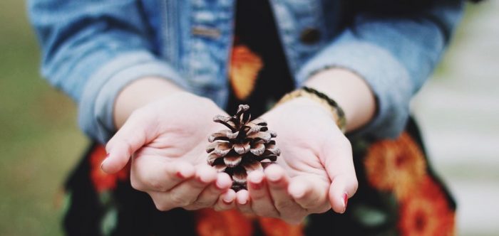 woman holding a pinecone