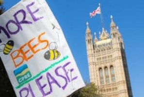 A sign saying "more bees please" is held up against a church tower