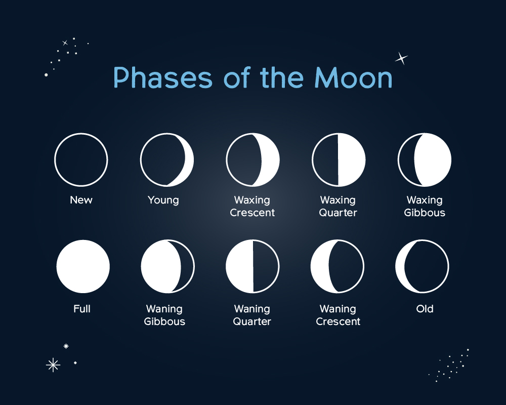 Phases of the Moon CPRE Somerset