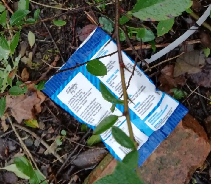 A crisp packet in undergrowth