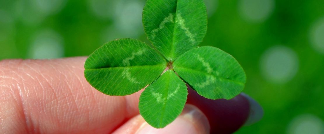 A four leafed clover