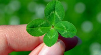 A four leafed clover