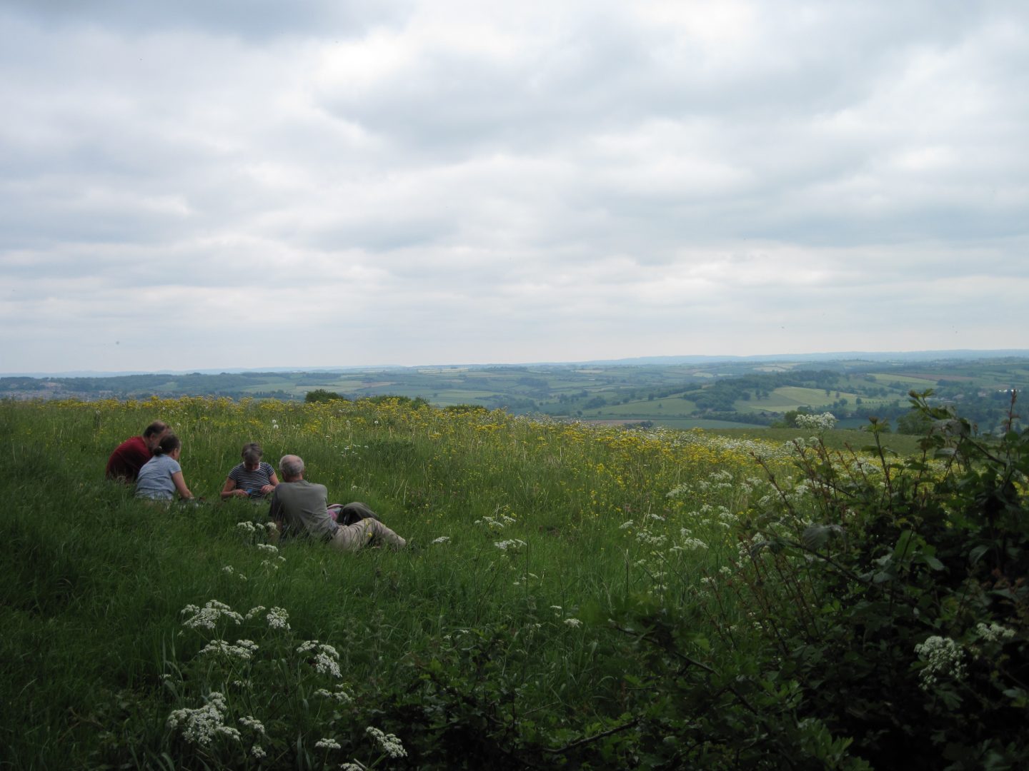 A group sit in a flower meadow