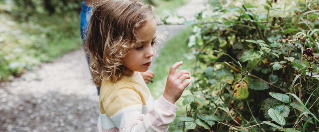 Children look at a blackberry bush