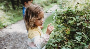 Children look at a blackberry bush