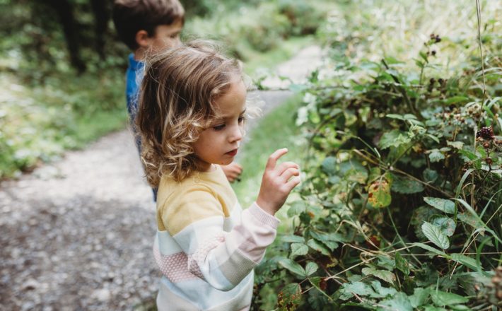 Children look at a blackberry bush