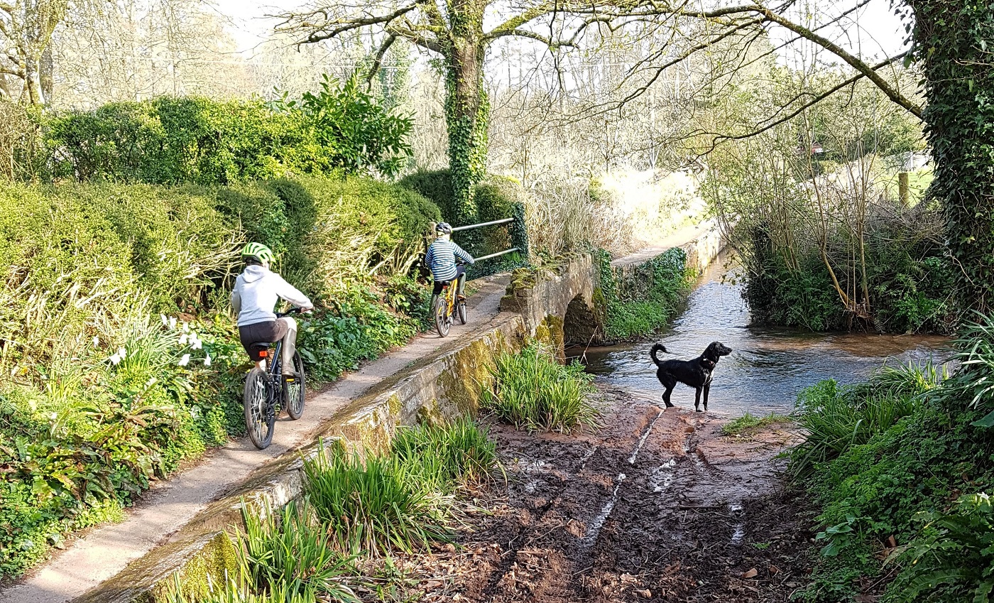 two young cyclists cross bridge next to a stream, while a dog stands in the stream