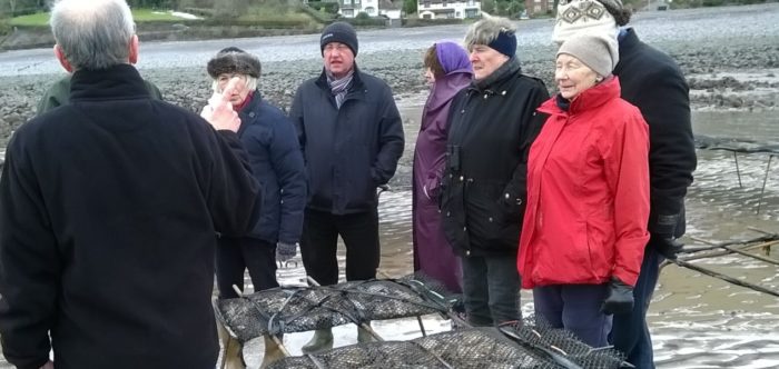 A group of people looking at oyster beds in Porlock Bay