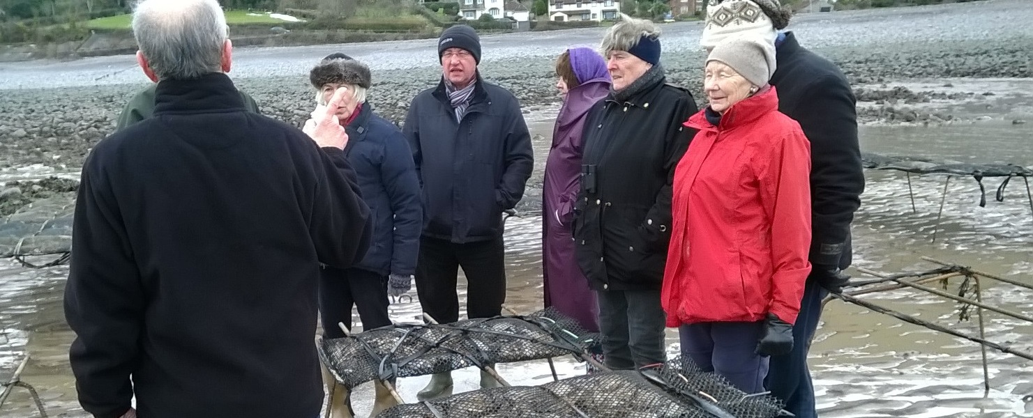 A group of people looking at oyster beds in Porlock Bay