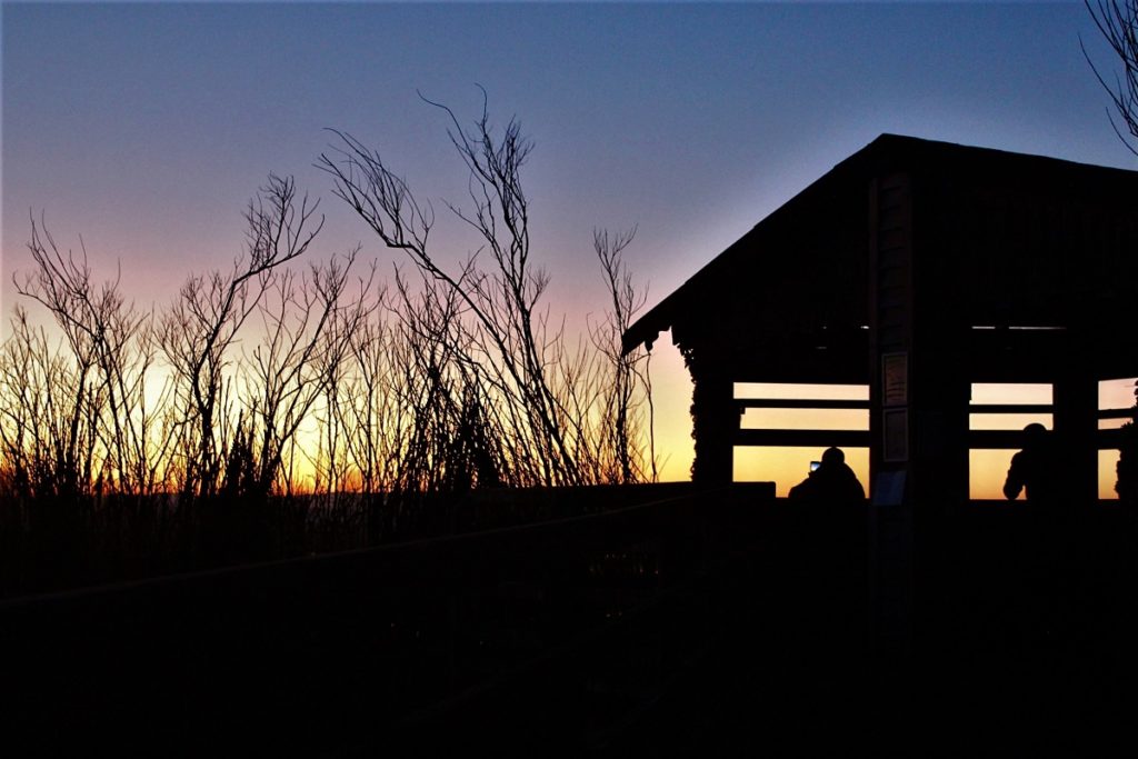 Silhouette of a bird hide in the sunset