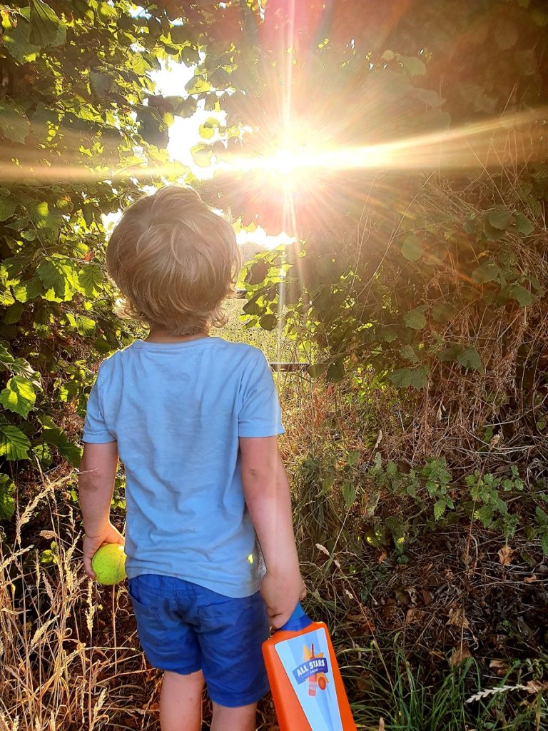 A child looks into a hedge