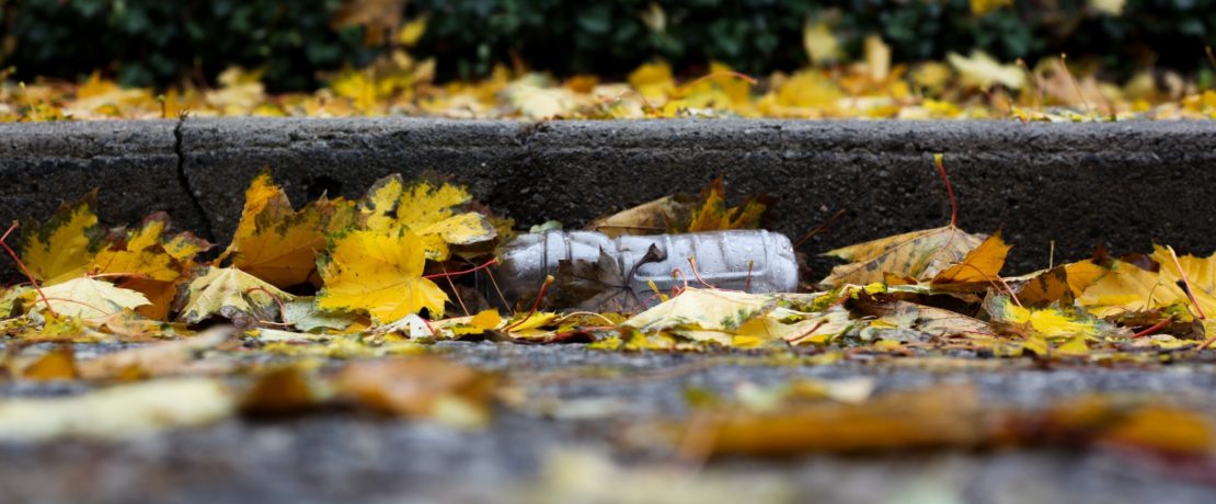A plastic bottle in-between leaves next to a kerb