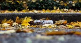 A plastic bottle in-between leaves next to a kerb