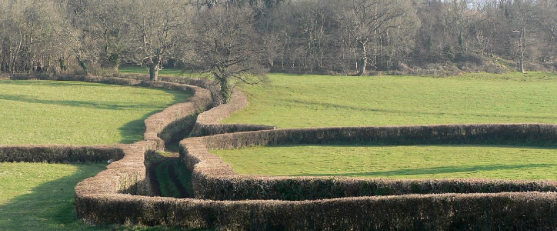 hedges and trees dividing green fields