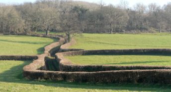 hedges and trees dividing green fields