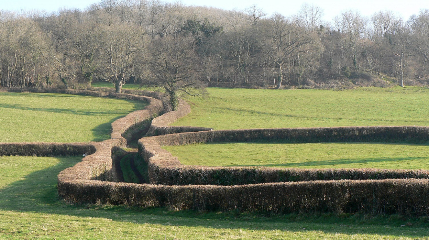 hedges and trees dividing green fields