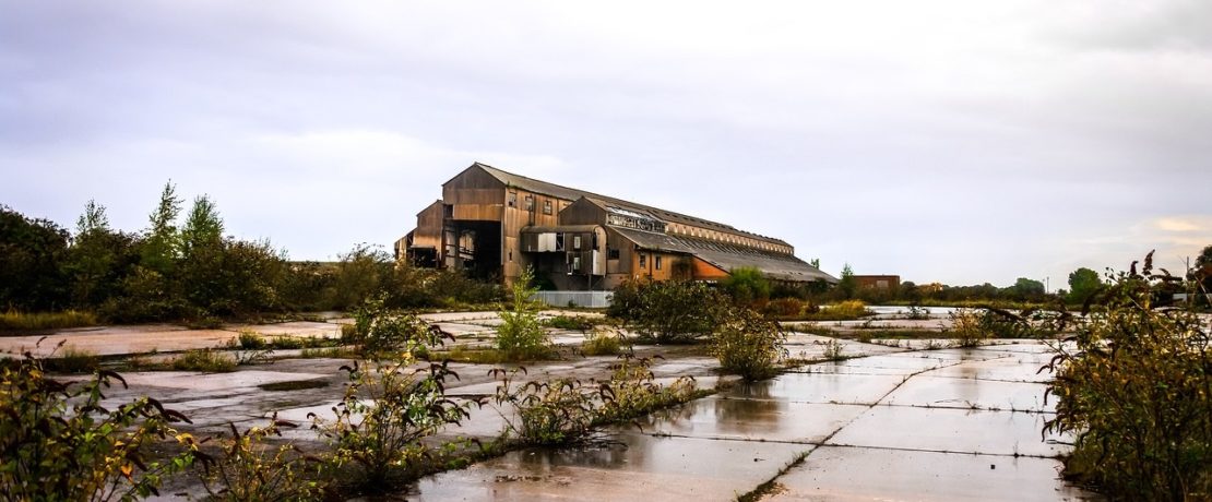 derelict building with weeds growing