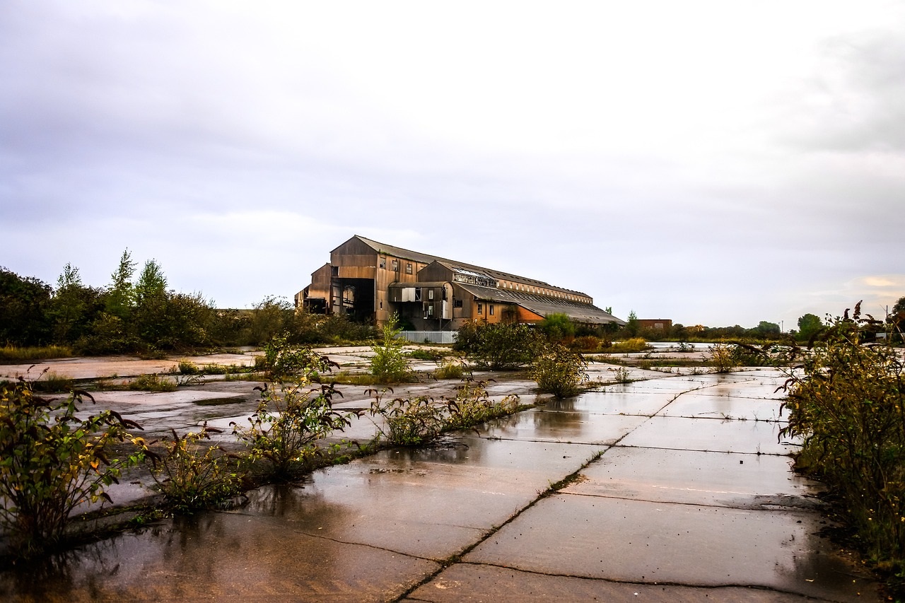 derelict building with weeds growing