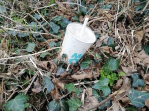 plastic cup amongst leaves