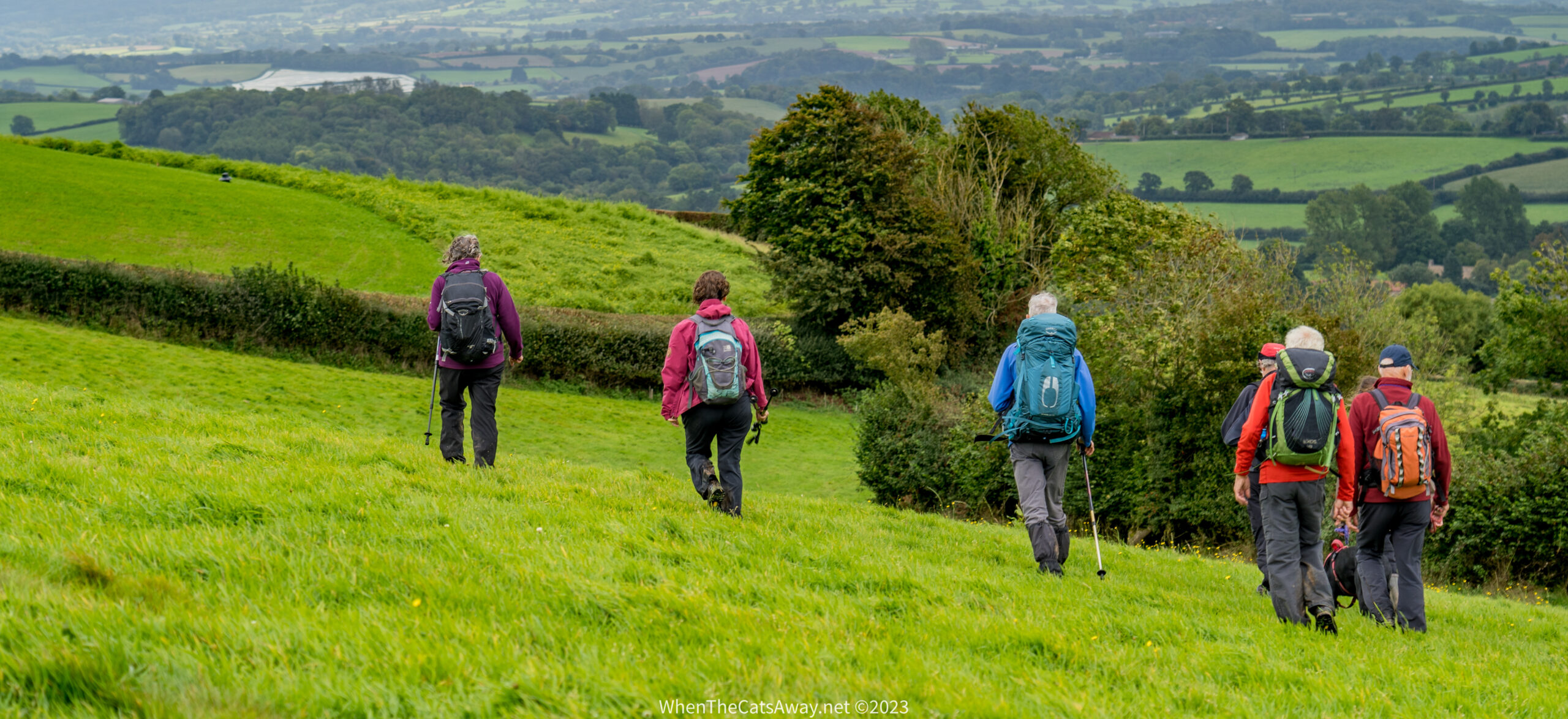 a group of people walking across a hillside