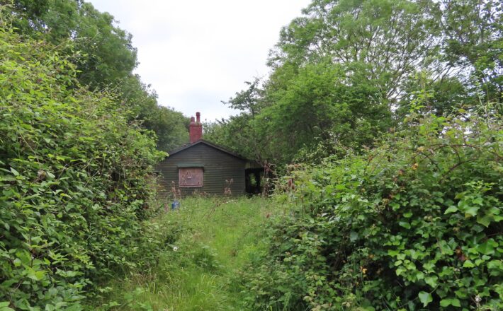 a wooden hut in the trees