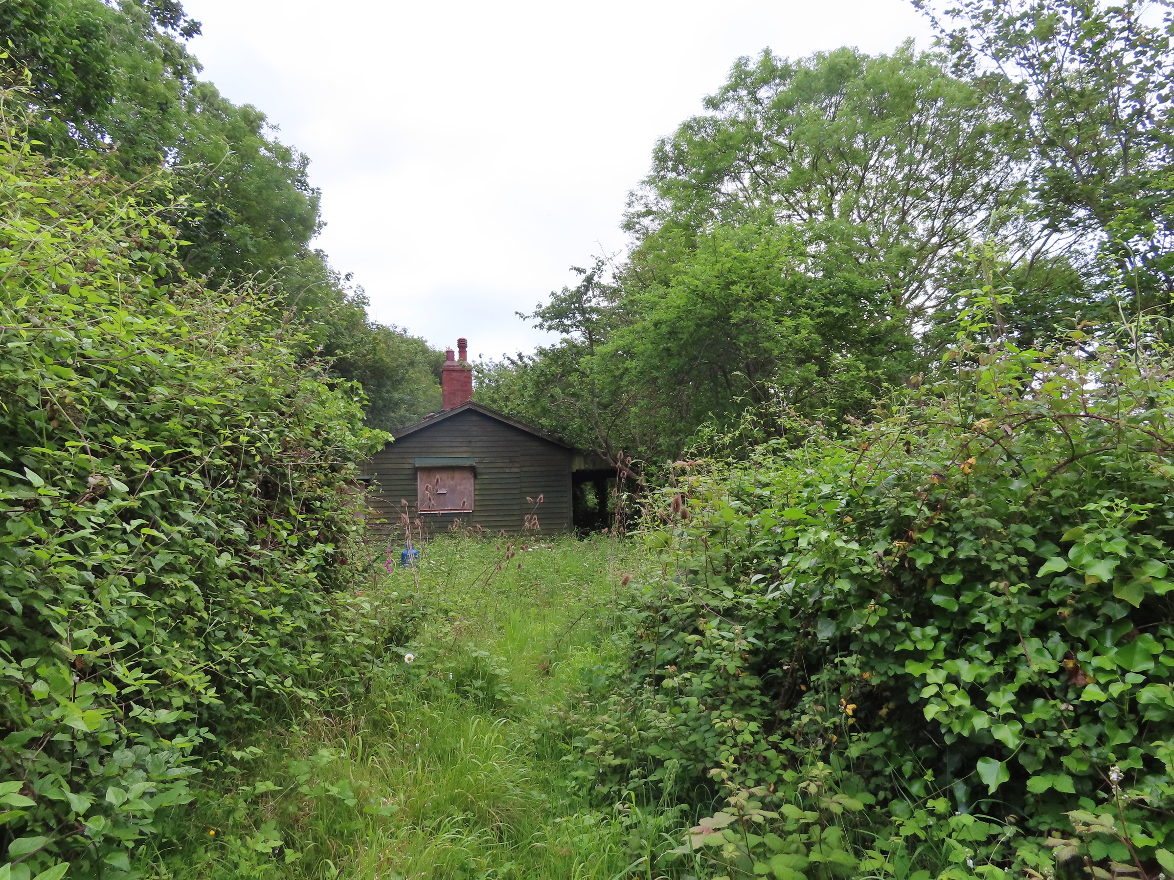 a wooden hut in the trees