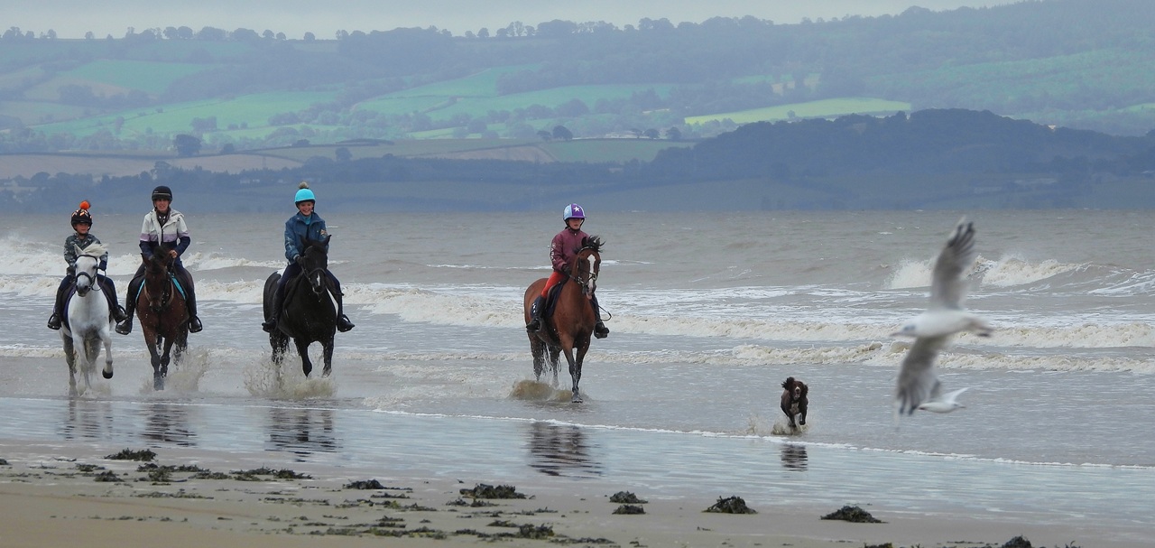 horses running in the sea