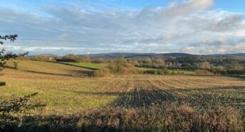 fields and hedges