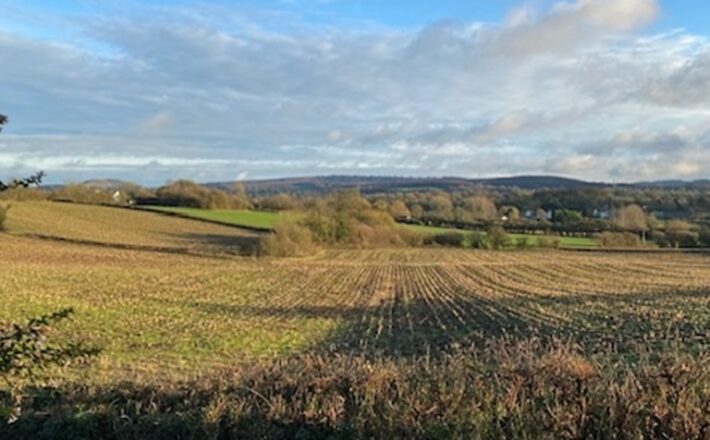 fields and hedges