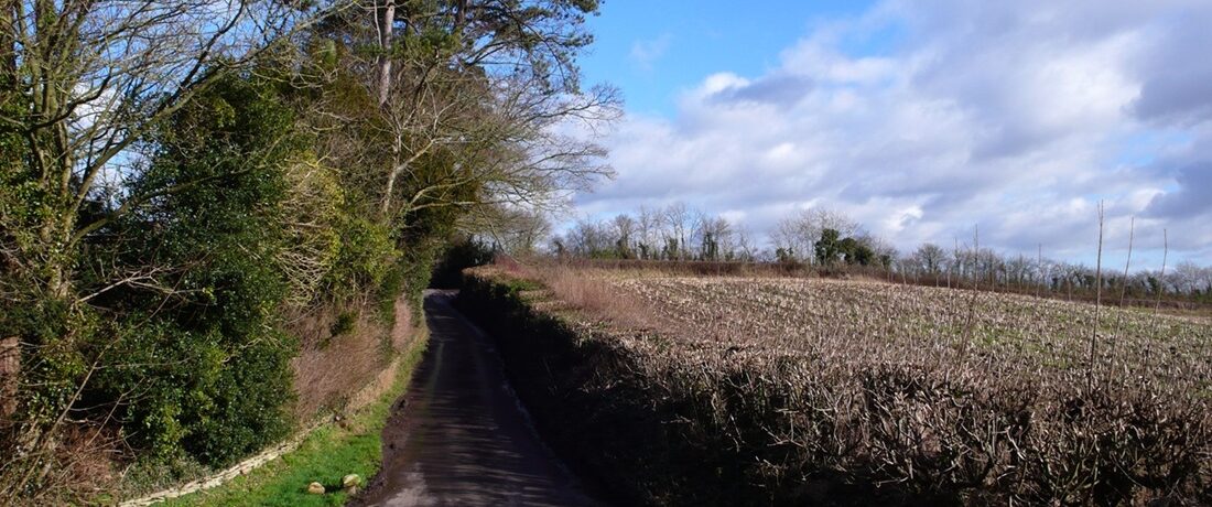 lane and hedges