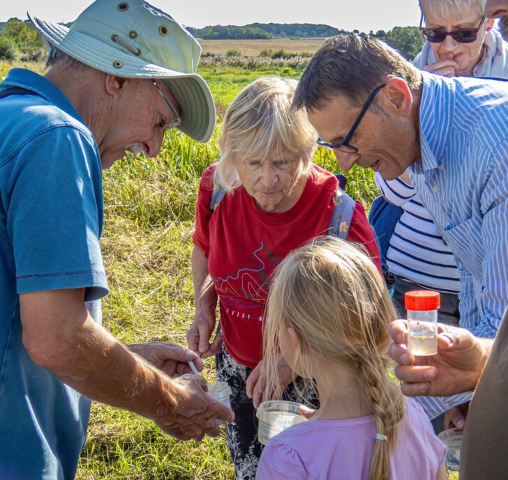 group looking at bugs after pond dipping 