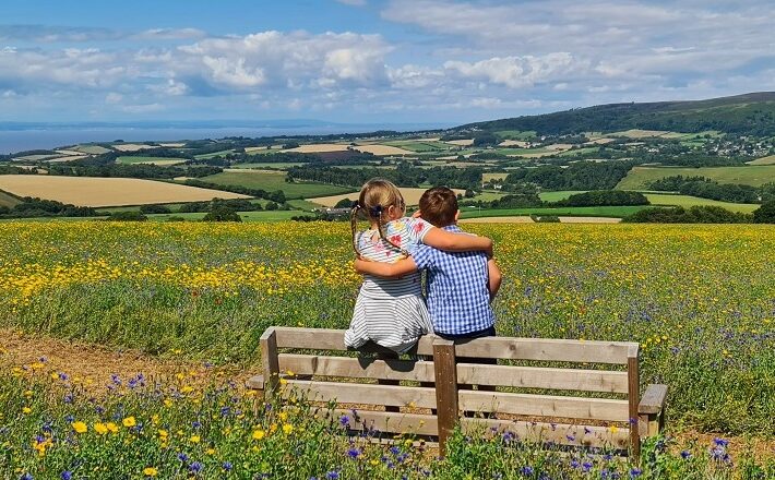 2 kids on bench in summer meadow enjoying the view
