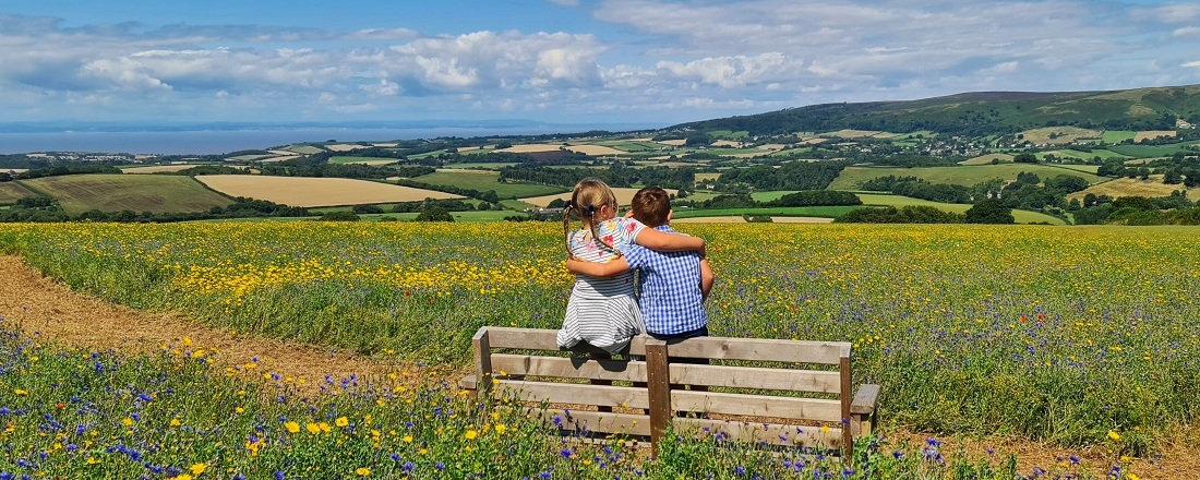 2 kids on bench in summer meadow enjoying the view