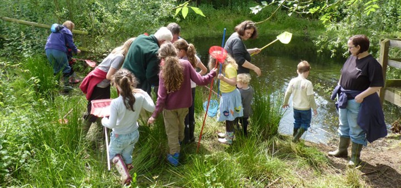 group of children pond dipping