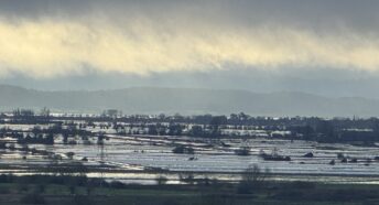 wetlands